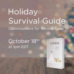 Holiday Survival Guide Webinar