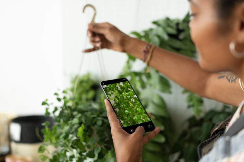 woman-takes-photo-houseplant-share-social-media